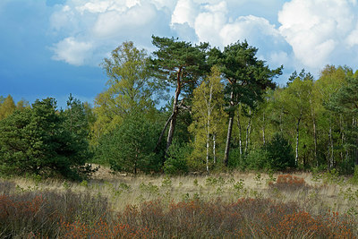 BUITEN BEELD Foto: 283739