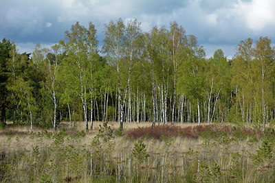 BUITEN BEELD Foto: 283740