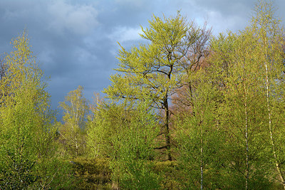 BUITEN BEELD Foto: 283746