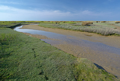 BUITEN BEELD Foto: 283757