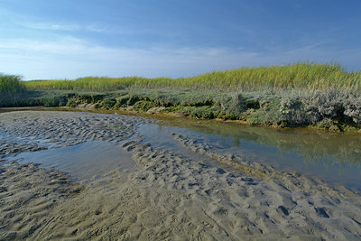 BUITEN BEELD Foto: 283759
