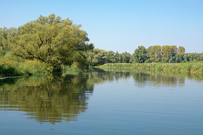 BUITEN BEELD Foto: 283766