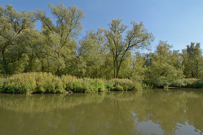 BUITEN BEELD Foto: 283767