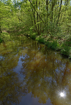 BUITEN BEELD Foto: 283777
