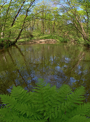BUITEN BEELD Foto: 283778