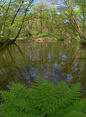 BUITEN BEELD Foto: 283778