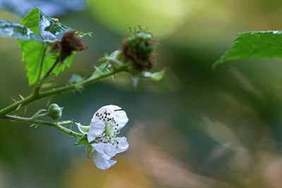 BUITEN BEELD Foto: 283796