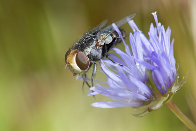 BUITEN BEELD Foto: 283810