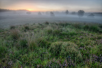 BUITEN BEELD Foto: 283854