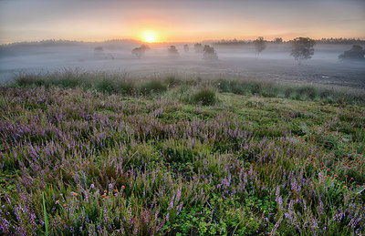 BUITEN BEELD Foto: 283856