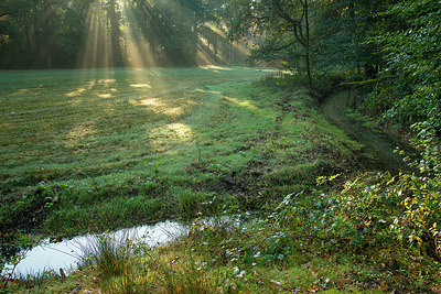 BUITEN BEELD Foto: 283871
