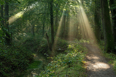 BUITEN BEELD Foto: 283872