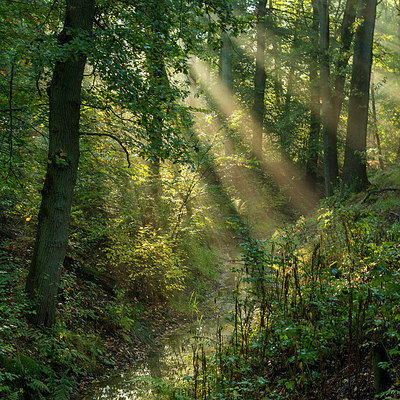 BUITEN BEELD Foto: 283873