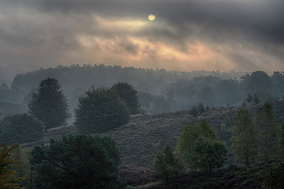 BUITEN BEELD Foto: 283874