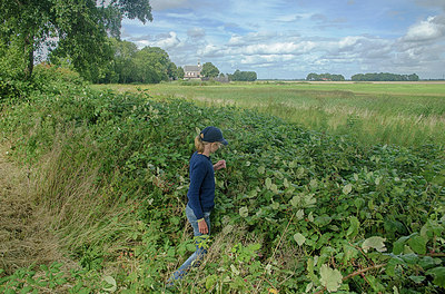 BUITEN BEELD Foto: 283890