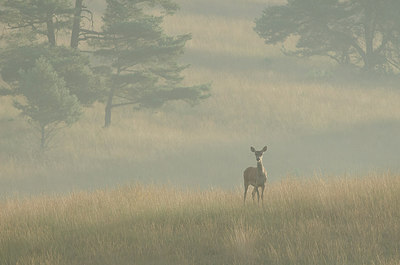 BUITEN BEELD Foto: 283904