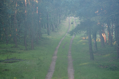 BUITEN BEELD Foto: 283906