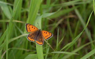 BUITEN BEELD Foto: 283932