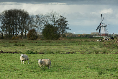 BUITEN BEELD Foto: 283955