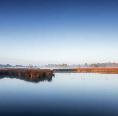 BUITEN BEELD Foto: 283969