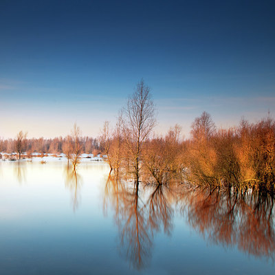 BUITEN BEELD Foto: 283974