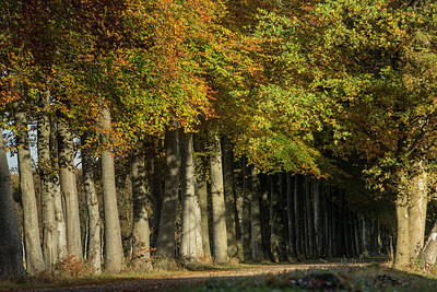BUITEN BEELD Foto: 283980