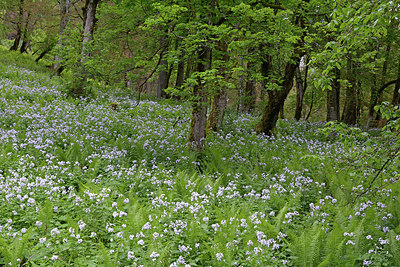 BUITEN BEELD Foto: 284000