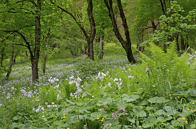 BUITEN BEELD Foto: 284003