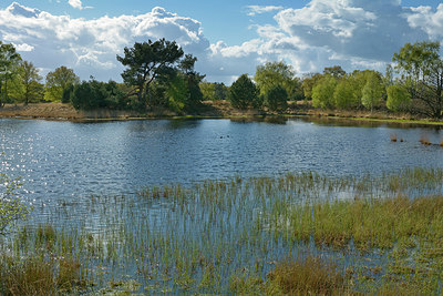 BUITEN BEELD Foto: 284018