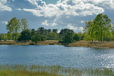 BUITEN BEELD Foto: 284021