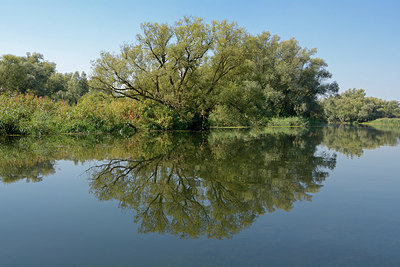 BUITEN BEELD Foto: 284026