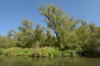 BUITEN BEELD Foto: 284028