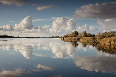 BUITEN BEELD Foto: 284044