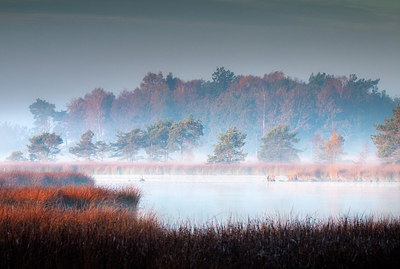 BUITEN BEELD Foto: 284047