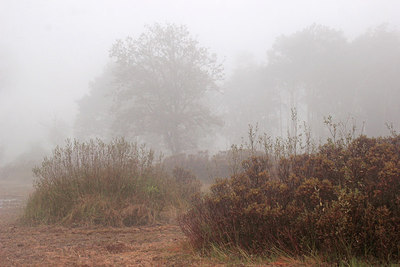BUITEN BEELD Foto: 284087