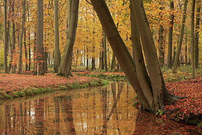 BUITEN BEELD Foto: 284107