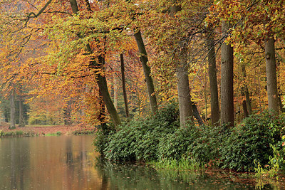 BUITEN BEELD Foto: 284108