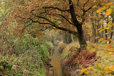 BUITEN BEELD Foto: 284112