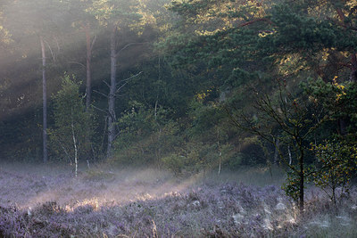 BUITEN BEELD Foto: 284207