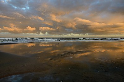 BUITEN BEELD Foto: 284227