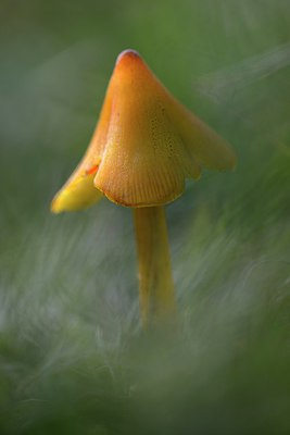 BUITEN BEELD Foto: 284228