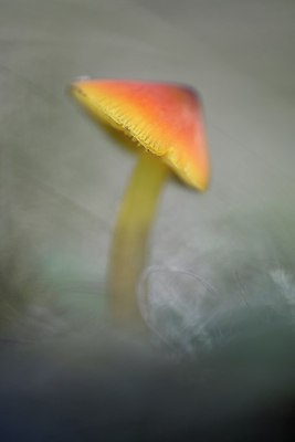 BUITEN BEELD Foto: 284229