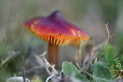 BUITEN BEELD Foto: 284231
