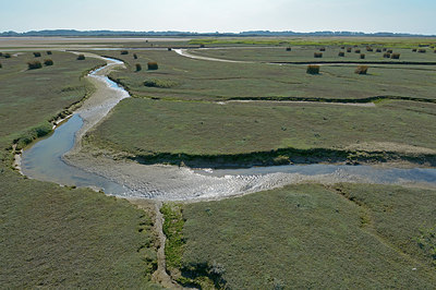 BUITEN BEELD Foto: 284238