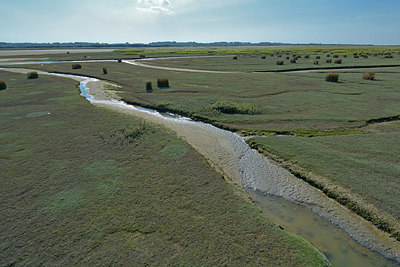BUITEN BEELD Foto: 284241