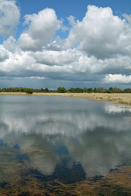 BUITEN BEELD Foto: 284265