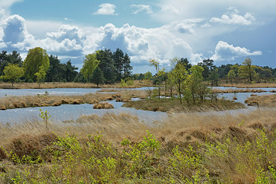 BUITEN BEELD Foto: 284267