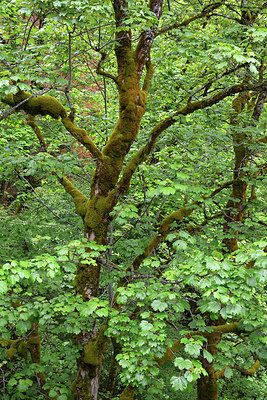 BUITEN BEELD Foto: 284269