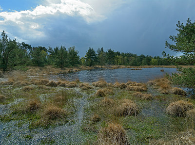 BUITEN BEELD Foto: 284282