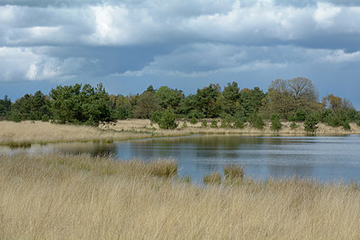 BUITEN BEELD Foto: 284284